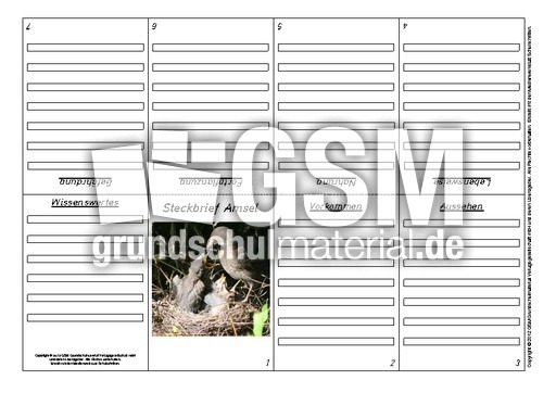 Faltbuch-Steckbrief-Amsel-2.pdf